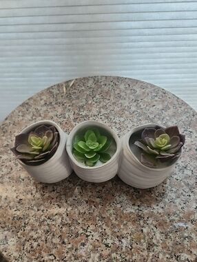 White Ceramic Mini Planter Trio with Green and Purple Succulents